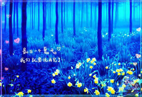 暑期实习求职信范文合集五篇