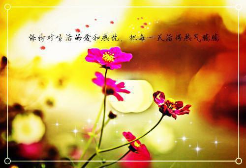 成功的小故事