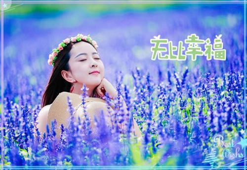 求职信简明