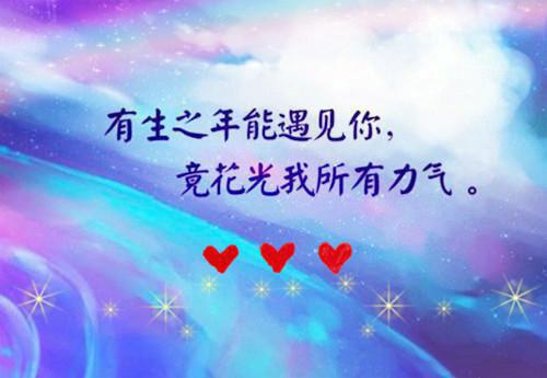 贸易经济专业毕业实习工作报告