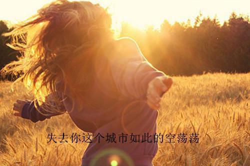 信息管理与信息系统自荐信3篇