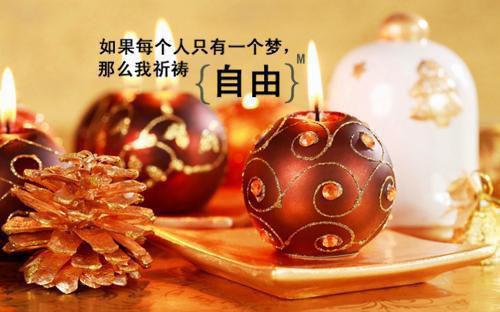抗战胜利70周年寻访活动暑期实践报告