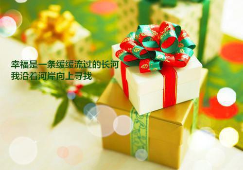 思想政治教育专业自荐信
