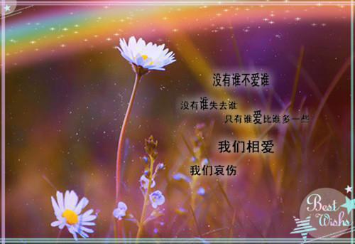纪念抗战胜利70周年暑期实践报告