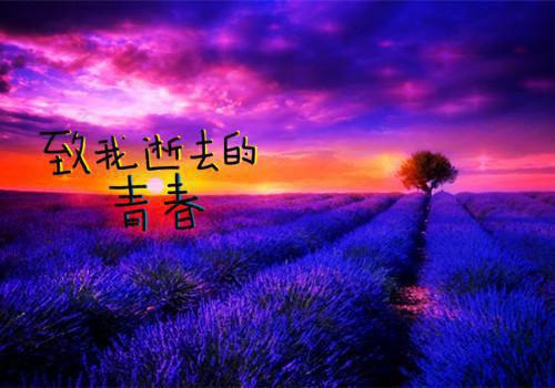 造船厂实习工作报告