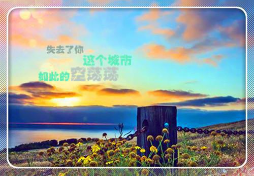 有关手机消费社会调查实践报告