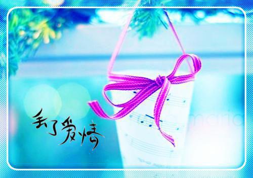 关于商会工作汇报