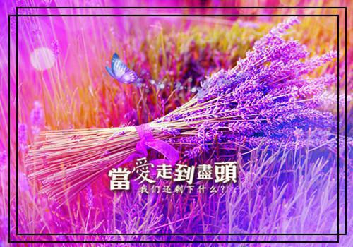写好一篇精彩的求职信