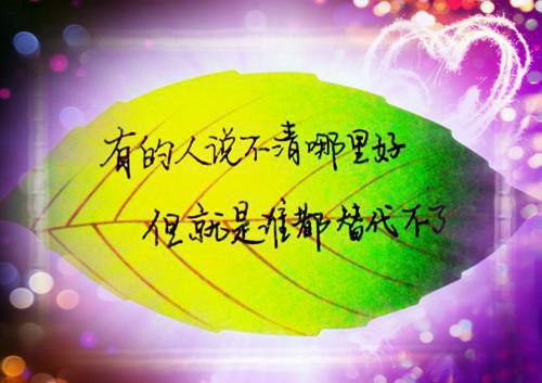 金融求职信范文锦集8篇