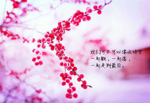 幼儿教师师德师风自查报告及整改措施