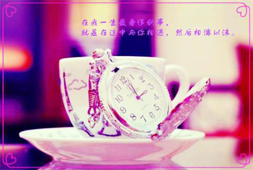护理自荐信范本