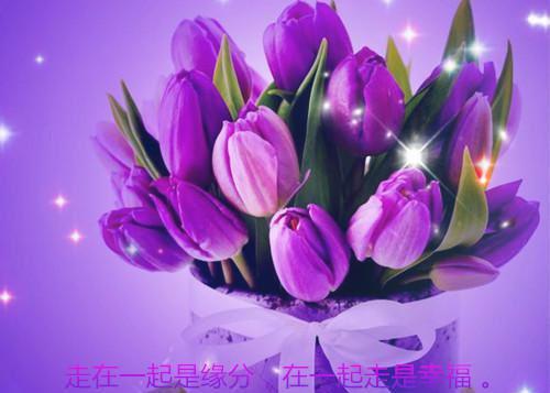 党员个人作风自查报告范文