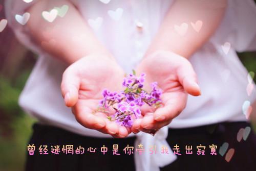 经典电影英语名人名言大全