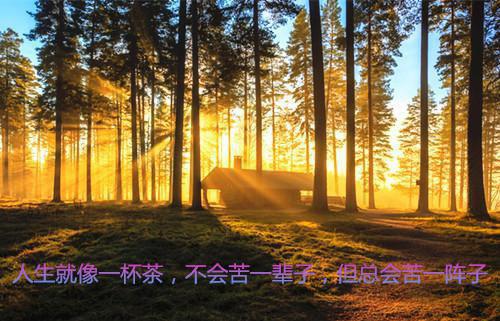 自荐信的结构你知道吗