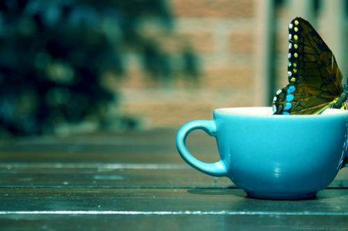 求职推荐信函及范例