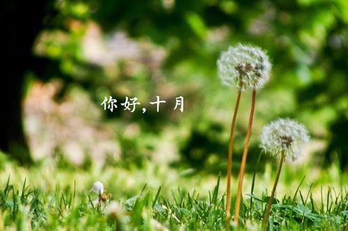 【精选】迟到检讨书汇总十篇