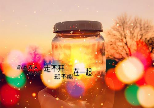 求职信范文大全2000