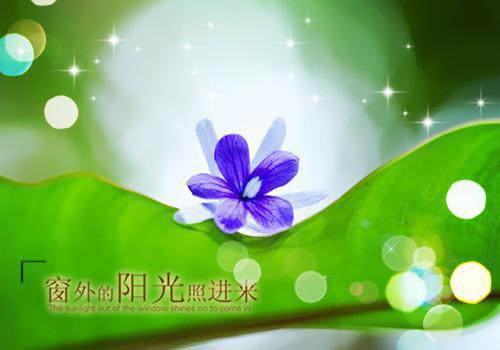 短篇青春校园小故事精选