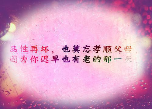 思修社会实践报告关于网购的弊端