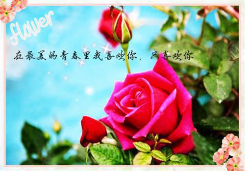 哲理经典英文名人名句