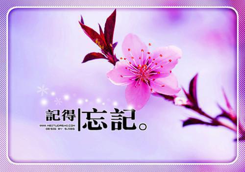 送别诗——《无题》