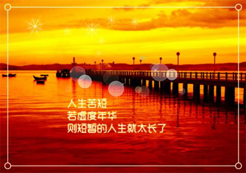 暑期三下乡社会实践报告活动报告书