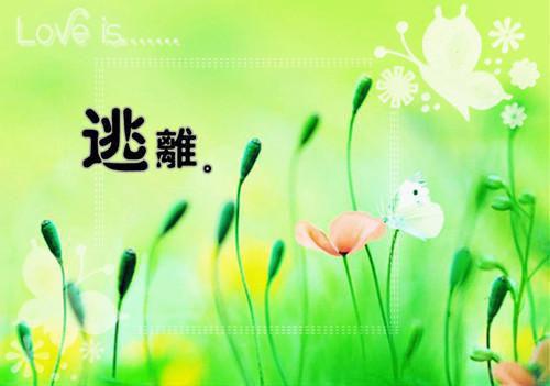 暑期三下乡社会实践心得体会《三下乡活动》