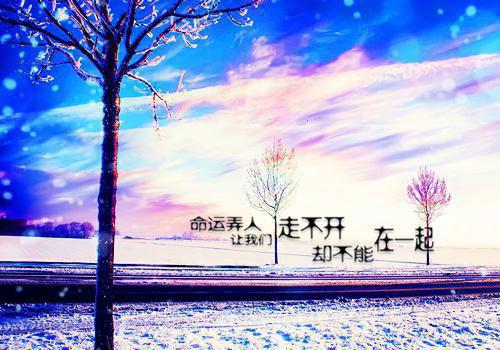 重阳节给离休干部的慰问信2023范文精选