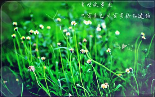 课改工作自查报告