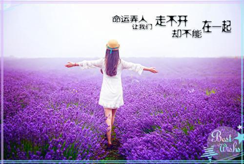 250字童话故事