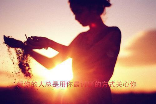 汉月垂乡泪，胡沙费马蹄。