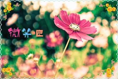 记者节慰问信范例