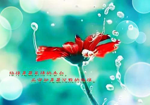 全力推进全民创业活动深入开展工作报告