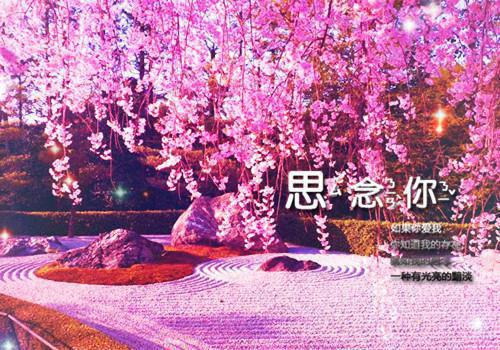 不负华光不负卿 小说小说全集+延伸+完本（陆熠之魏婉卿）畅享在线阅读