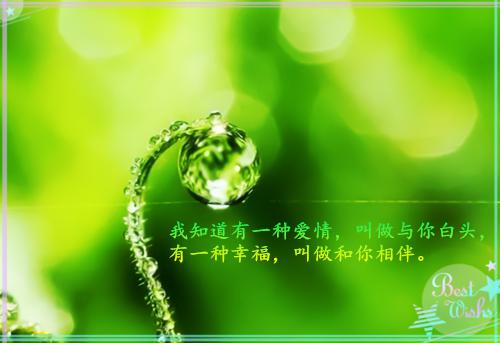 土木工程自荐信范本