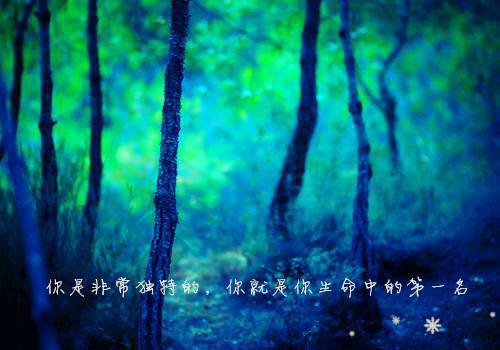 教育实习感谢信