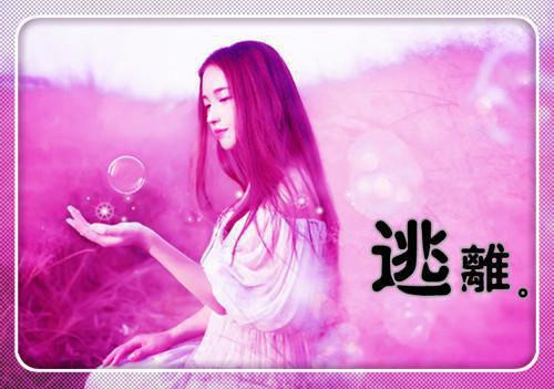 关于追求爱情的名言