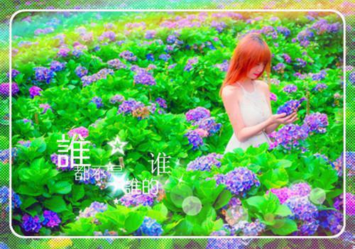 2023简单租房合同协议书
