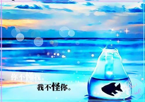 100条女人人生感悟