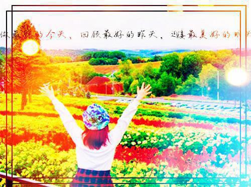 学生给老师的教师节慰问信7篇
