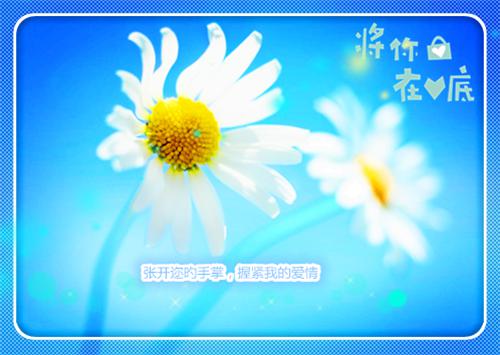 结构工程专业硕士研究生求职信范文