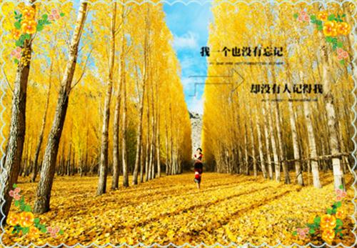 描写四季的古诗名句