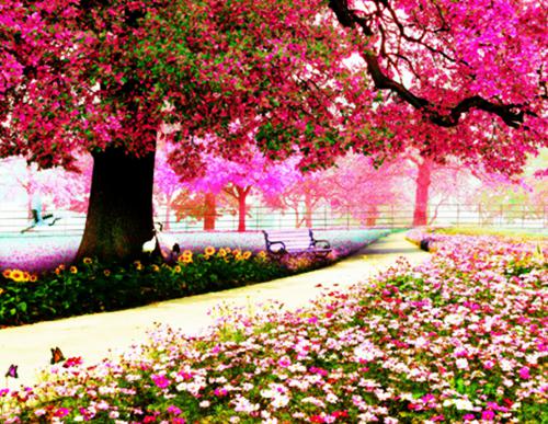 教师节给老师的慰问信模板合集六篇