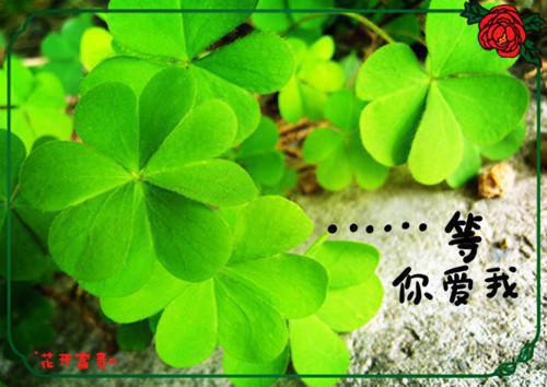 募捐的感谢信汇编7篇