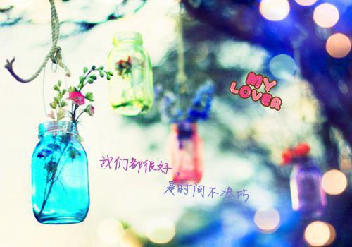 2095年政府工作报告