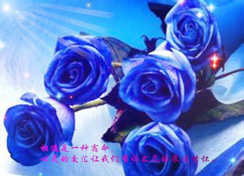 给母校的感谢信范例精选五篇