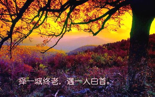 四风问题自查报告教师