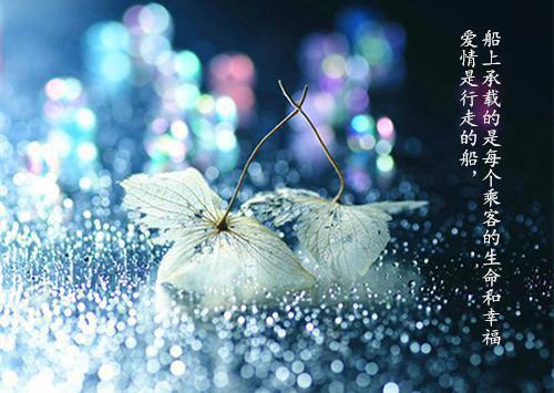 翻译求职信模板