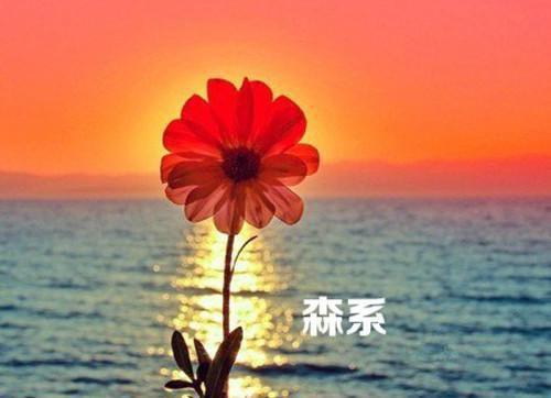 关于雪的诗句——《雪里梅花诗》