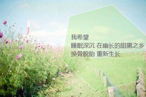 幼儿园好听的寓言故事：一片树叶